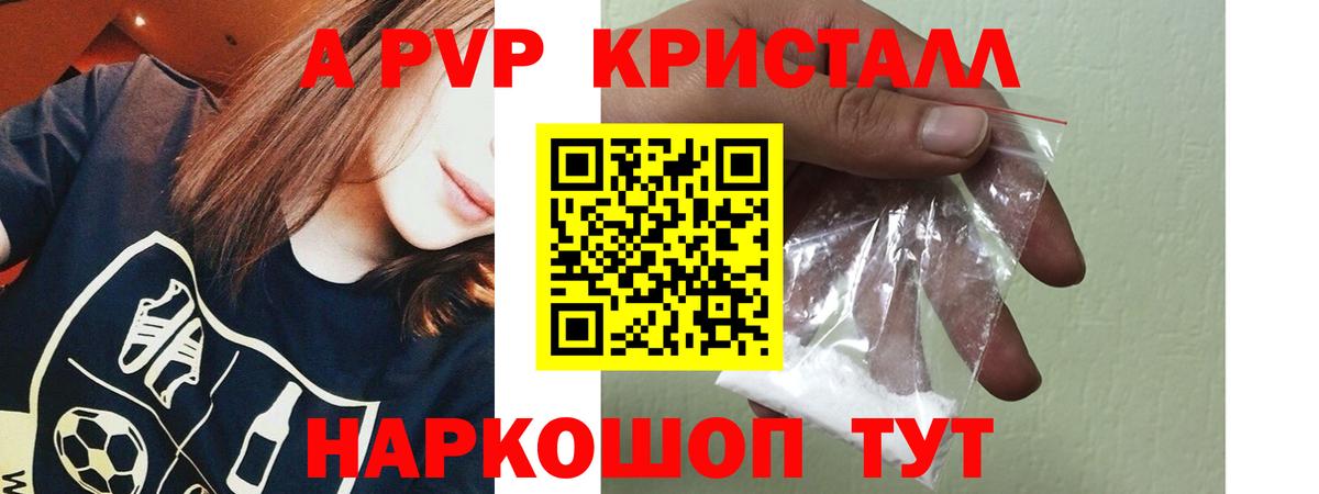 Альфа ПВП СК Кострома