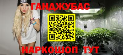 PSILOCYBIN Кимры