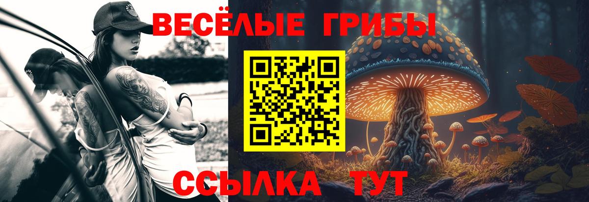Кострома  купить наркотик  Вход с VPN  Псилоцибиновые грибы прущие грибы 